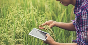 Agro chemical Agro chemical